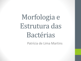 Morfologia e Estrutura das Bactérias