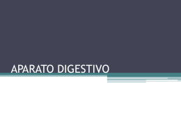 APARATO_DIGESTIVO_completo