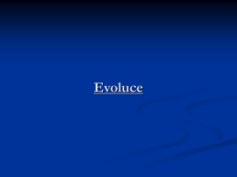 Evoluce - socped2009