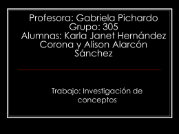 Profesora: Gabriela Pichardo Grupo: 305 Alumnas: Karla Janet