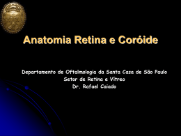 Anatomia e Fisiologia da Retina - Oftalmologia Dr. Rafael Caiado