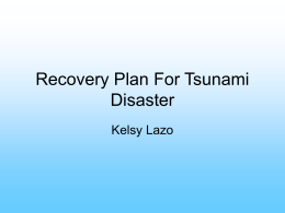 Recovery Plan For Tsunami Disaster