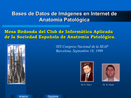 Bases de datos de imágenes de Anatomía Patológica en Internet