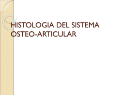 histologia del sistema osteo-articular