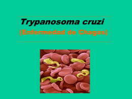 TRYPANOSOMIASIS
