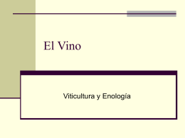 El Vino - UVG.IQ.2008