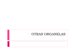 OTRAS ORGANELAS - Colegio Nuestra Señora