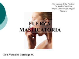 fuerza-masticatoria-FA - Facultad de Medicina UFRO