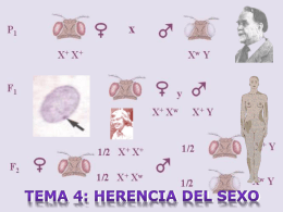 Tema 4: Herencia del sexo