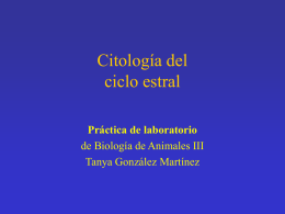 Ciclo estral - Departamento de Biología, Facultad de Ciencias UNAM