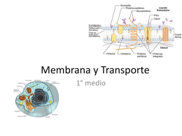 Membrana y Transporte