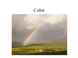 Color - Tecnun