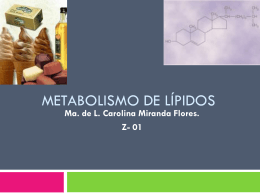 metabolis