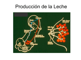 Producción de la Leche