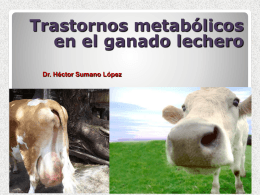 Trastornos metabólicos en el ganado lechero