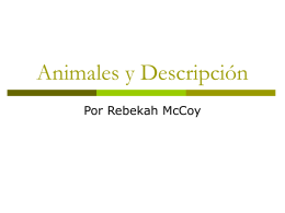 Animales y Descripción