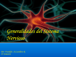 Generalidades del Sistema Nervioso
