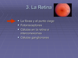3. La Retina