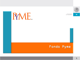 Slide 1 - Fondo PyME