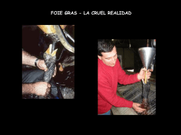 foie gras - la cruel realidad