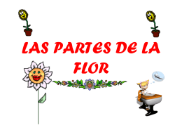 LAS PARTES DE LA FLOR