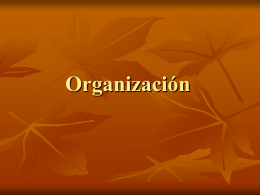 Organización