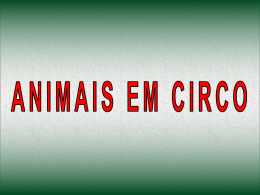 Animais em Circos