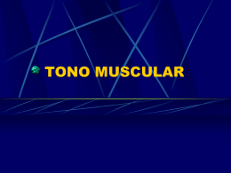 10 tono muscular