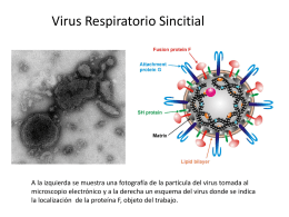 Virus-Respiratorio