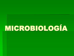 CLASIFICACIÓN DE MICROORGANISMOS