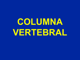 Columna vertebral - Generalidades - lerat