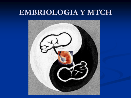 embrio y mtch - WordPress.com