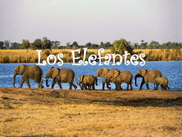 Los Elefantes