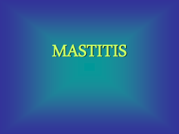 mastitis clinica