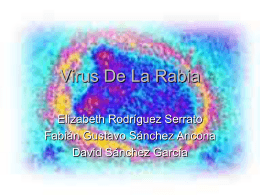 Virus de la Rabia