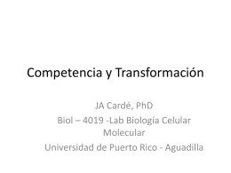Lab8_Competencia_Transformacion_DNA