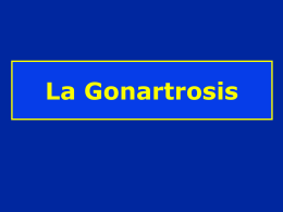 11- Gonartrosis - lerat