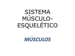 Musculo_esqueletico3