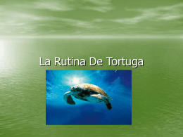 La Rutina De Tortuga