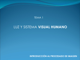 tema 1 luz y sistema visual humano