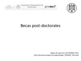 Becas post-doctorales