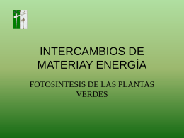 INTERCAMBIOS DE MATERIAY ENERGIA Fotosintesis sexto basico