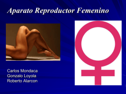aparato reproductor femenino 2