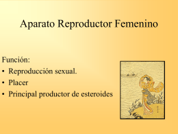Aparato Reproductor Femenino 1