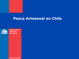 Pesca Artesana Chile CPPS 2013