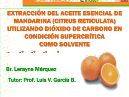 extracción del aceite esencial de mandarina