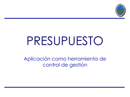 Presupuesto PCG para websia