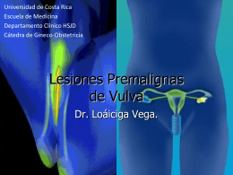 Lesiones Premalignas de Vulva y Vagina