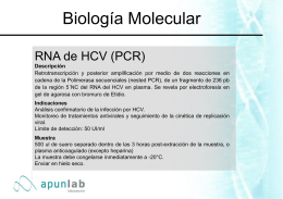 Biología Molecular