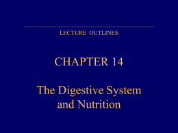 Digestive system and nutrition